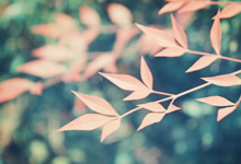 塞维利亚吞下惨败，遭遇连续失利