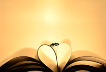 汉堡队在德甲比赛中获得胜利一泻千里