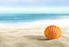 恩波利主场大胜桑普多利亚，重返积分榜前列