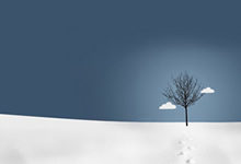 绝妙对决！国际名将压轴登场，争夺胜利