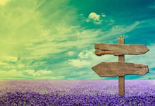 富勒姆主场胜狼队，逆转战绩稳步向前迈进