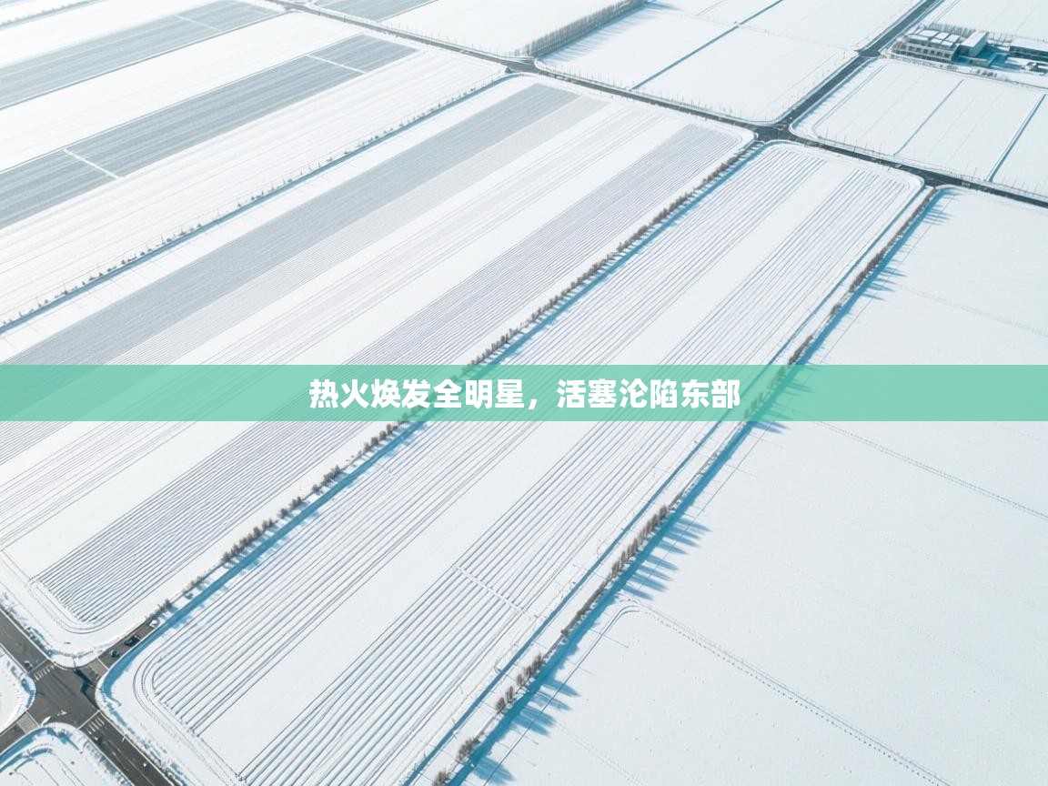 热火焕发全明星,活塞沦陷东部 第2张