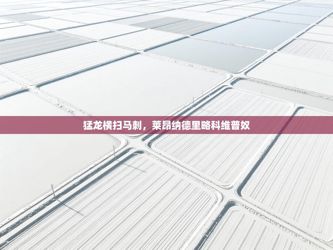 猛龙横扫马刺，莱昂纳德里略科维普奴