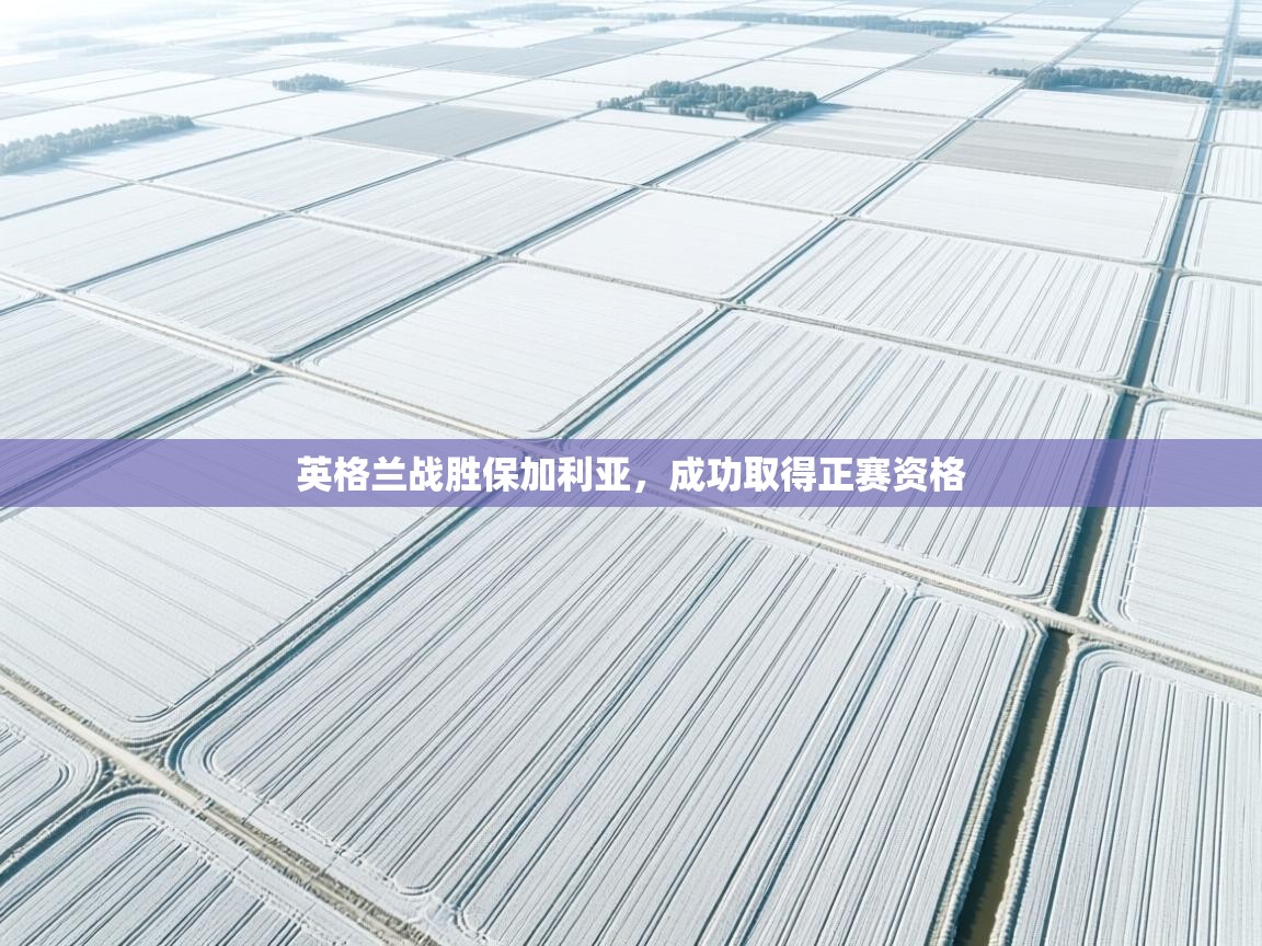 英格兰战胜保加利亚,成功取得正赛资格 第1张