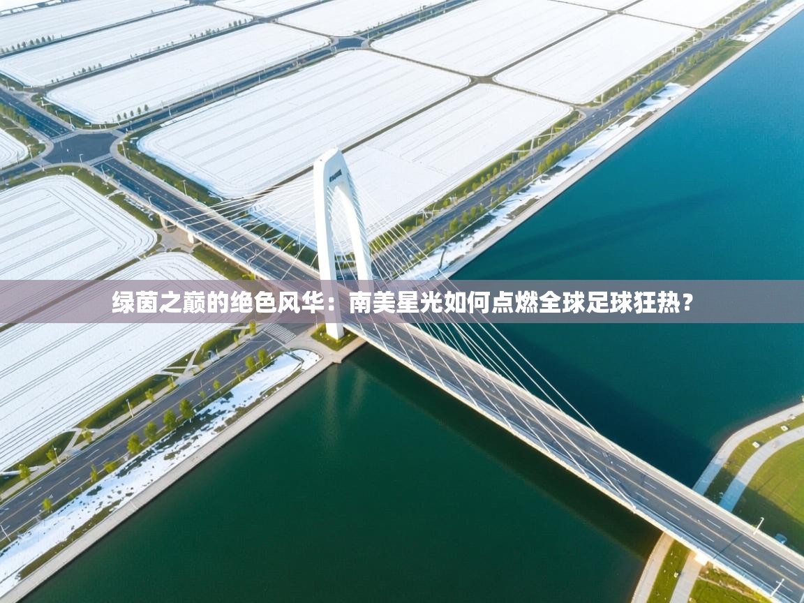 绿茵之巅的绝色风华:南美星光如何点燃全球足球狂热? 第1张