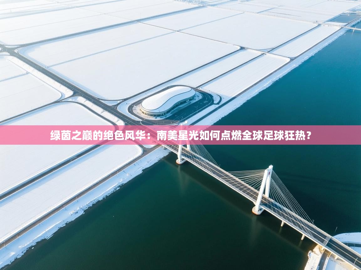 绿茵之巅的绝色风华:南美星光如何点燃全球足球狂热? 第2张