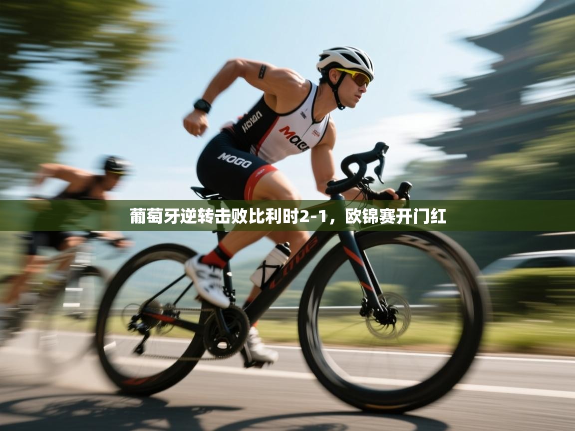 葡萄牙逆转击败比利时2-1,欧锦赛开门红 第2张