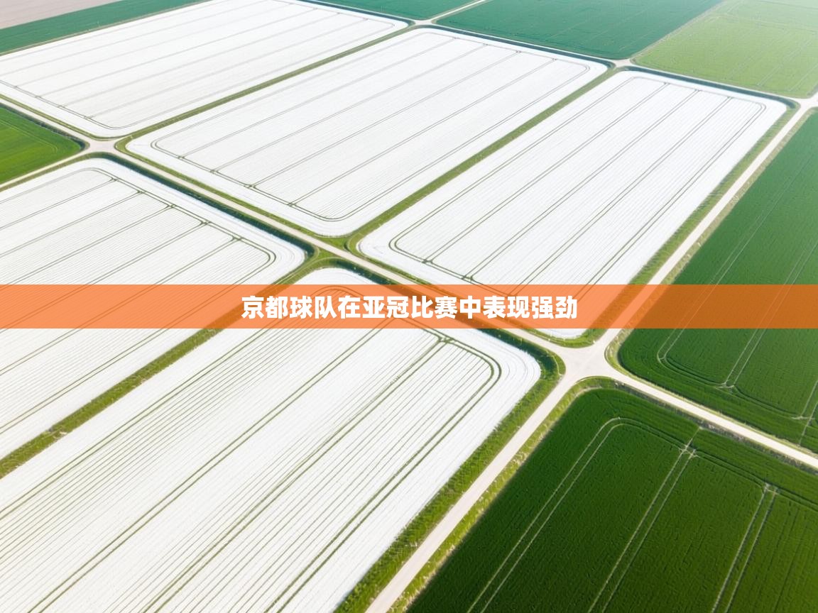 京都球队在亚冠比赛中表现强劲 第2张