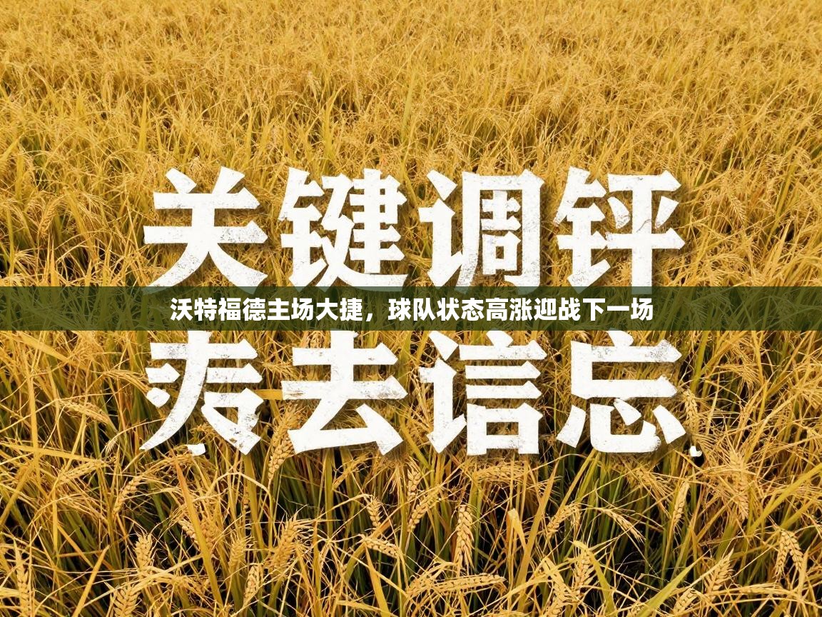 沃特福德主场大捷,球队状态高涨迎战下一场 第2张