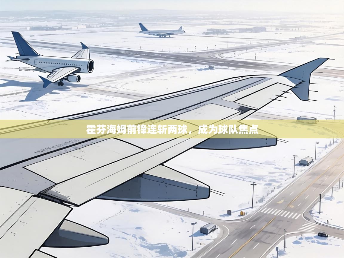 霍芬海姆前锋连斩两球，成为球队焦点  第1张